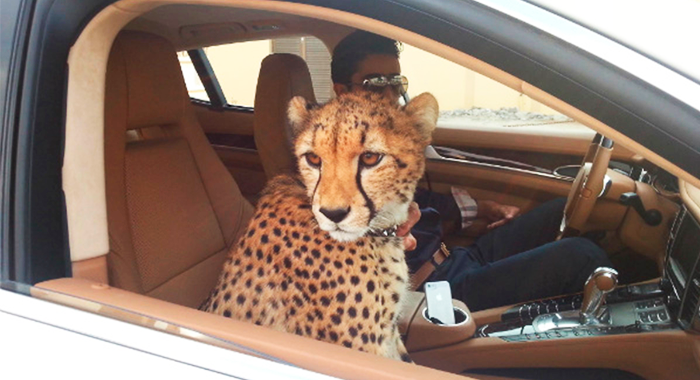 Dubai
