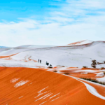 Neve
