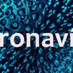 Coronavírus: Mudança na agenda dos três poderes inclui servidores