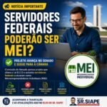 servidores federais MEI