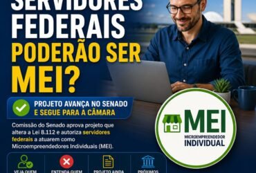 servidores federais MEI