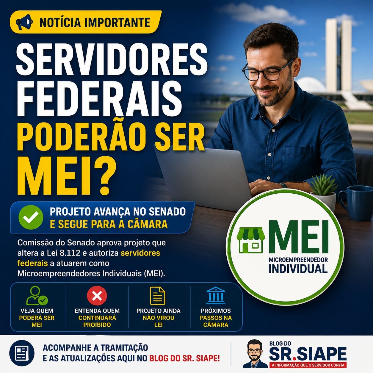 servidores federais MEI
